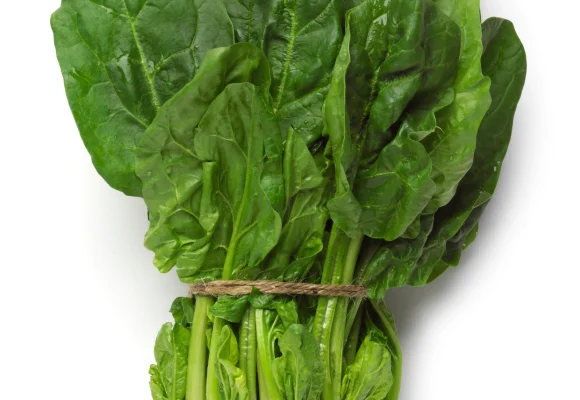 11 Foods To Increase Your Ferritin Levels